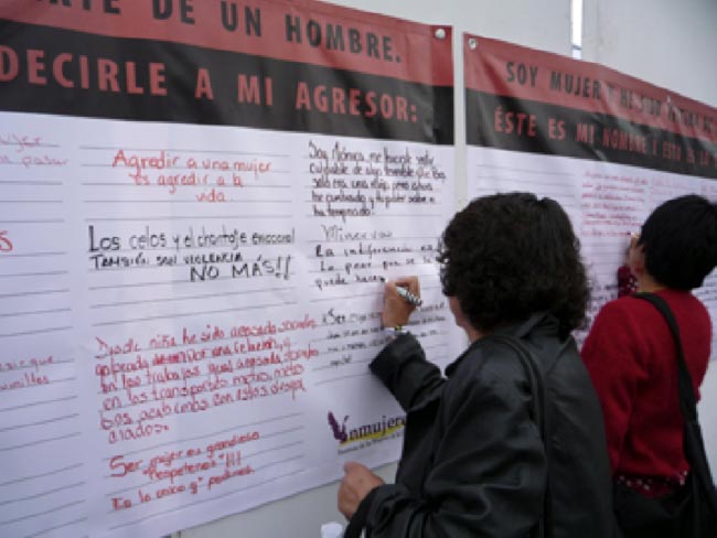 Lorena Wolffer, Muros de réplica, México, 2008.